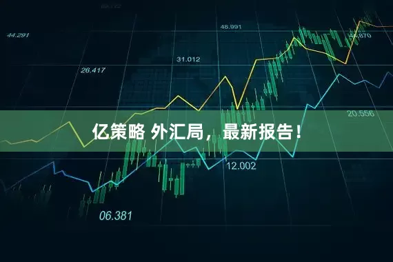 亿策略 外汇局，最新报告！